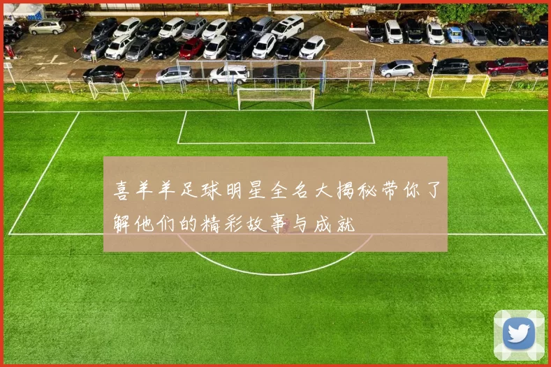 喜羊羊足球明星全名大揭秘带你了解他们的精彩故事与成就