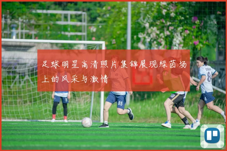 足球明星高清照片集锦展现绿茵场上的风采与激情