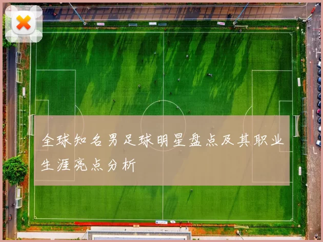 全球知名男足球明星盘点及其职业生涯亮点分析