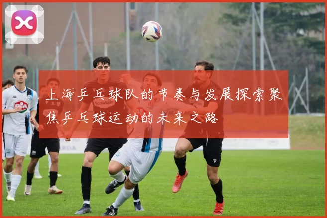 上海乒乓球队的节奏与发展探索聚焦乒乓球运动的未来之路