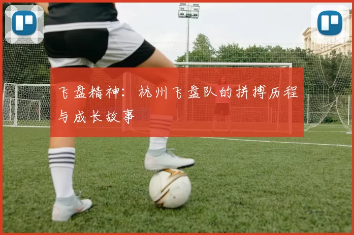 飞盘精神：杭州飞盘队的拼搏历程与成长故事