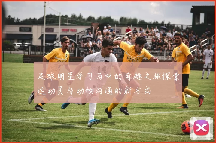 足球明星学习马叫的奇趣之旅探索运动员与动物沟通的新方式