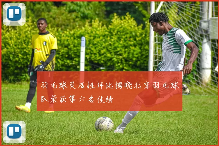 羽毛球灵活性评比揭晓北京羽毛球队荣获第六名佳绩