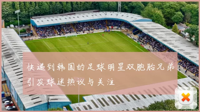 快递到韩国的足球明星双胞胎兄弟引发球迷热议与关注