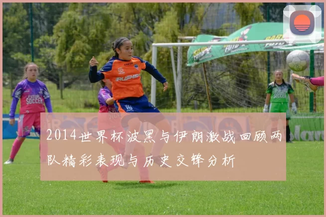 2014世界杯波黑与伊朗激战回顾两队精彩表现与历史交锋分析
