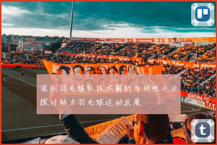 深圳羽毛球队技术解析与训练方法探讨助力羽毛球运动发展