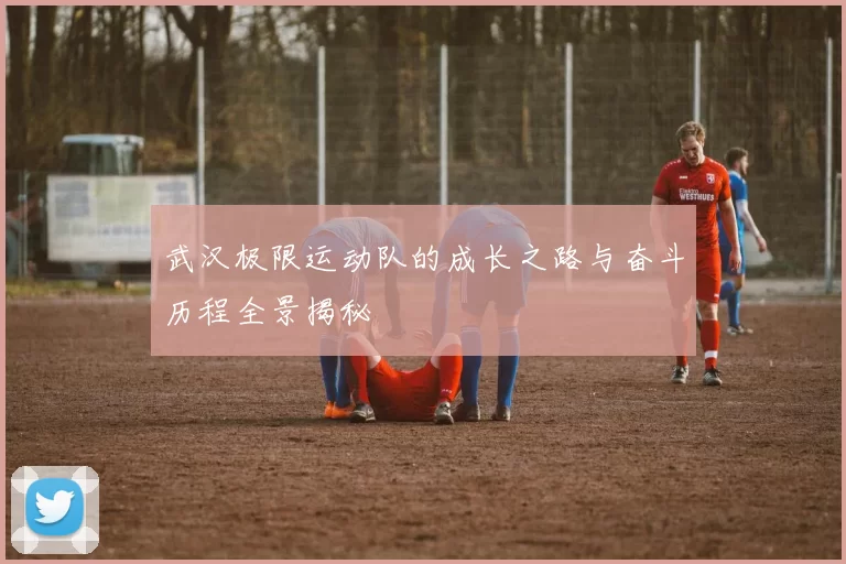 武汉极限运动队的成长之路与奋斗历程全景揭秘