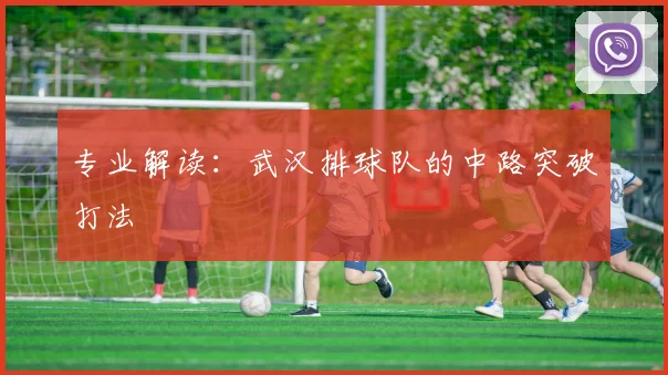 专业解读：武汉排球队的中路突破打法