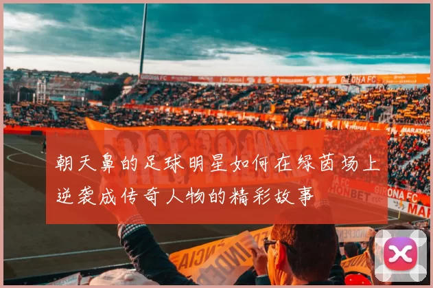 朝天鼻的足球明星如何在绿茵场上逆袭成传奇人物的精彩故事