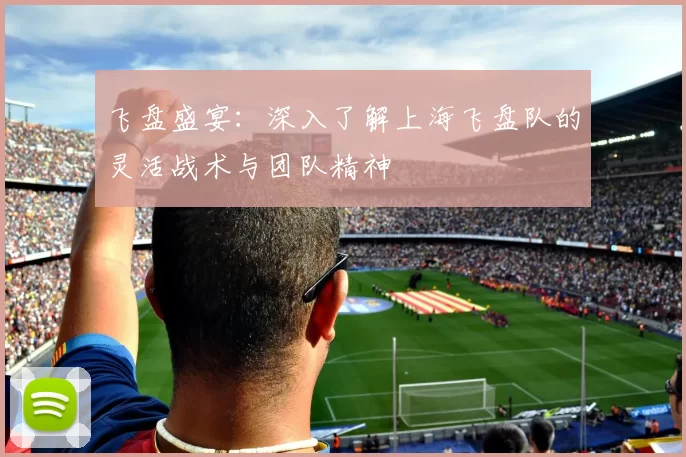 飞盘盛宴：深入了解上海飞盘队的灵活战术与团队精神