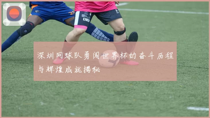 深圳网球队勇闯世界杯的奋斗历程与辉煌成就揭秘