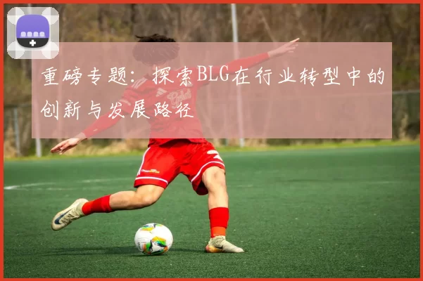 重磅专题：探索BLG在行业转型中的创新与发展路径