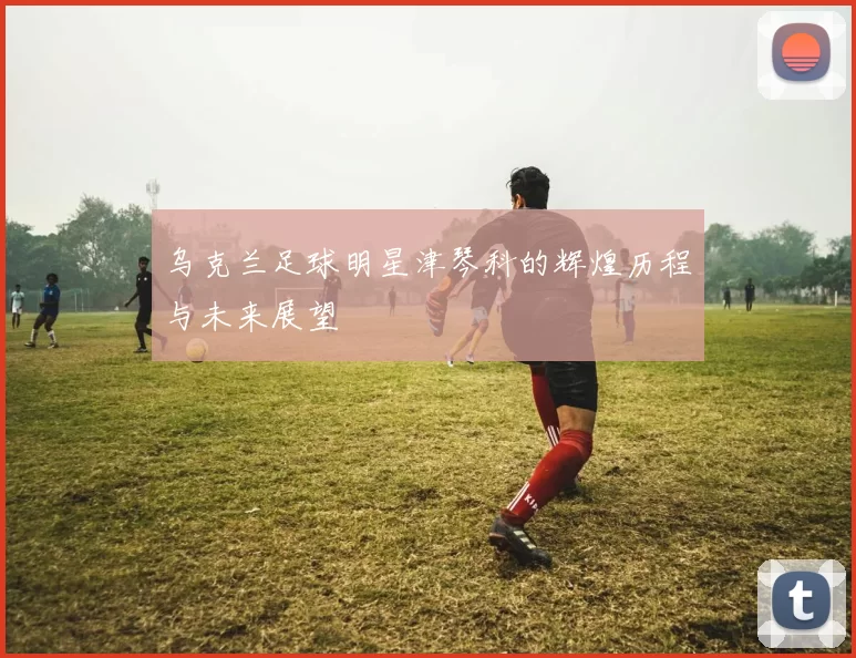 乌克兰足球明星津琴科的辉煌历程与未来展望