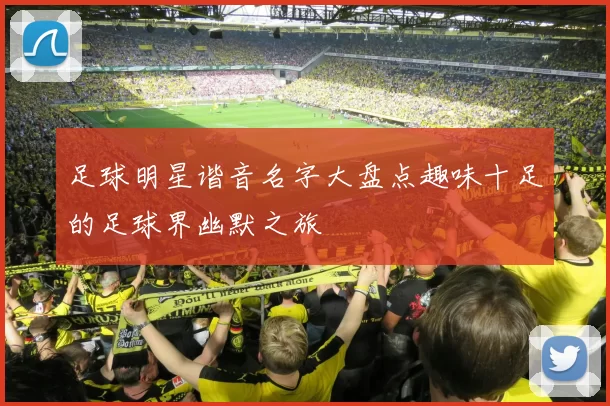 足球明星谐音名字大盘点趣味十足的足球界幽默之旅