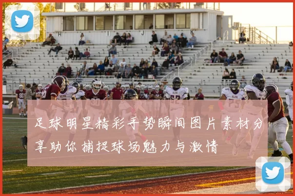 足球明星精彩手势瞬间图片素材分享助你捕捉球场魅力与激情