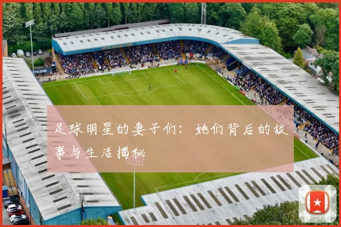 足球明星的妻子们：她们背后的故事与生活揭秘