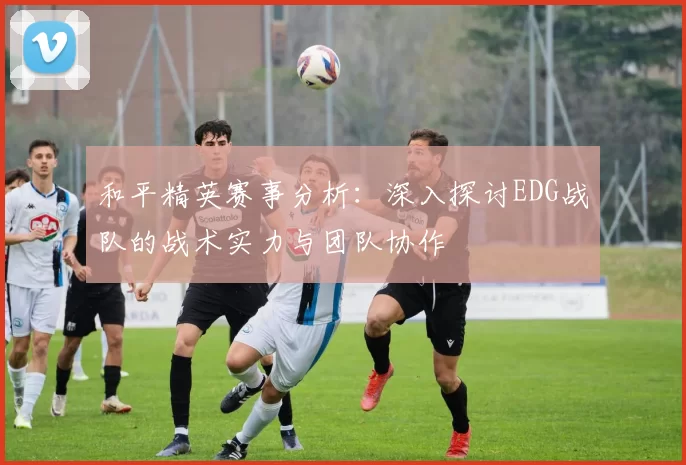 和平精英赛事分析：深入探讨EDG战队的战术实力与团队协作