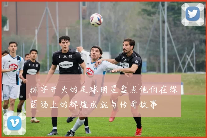 林字开头的足球明星盘点他们在绿茵场上的辉煌成就与传奇故事