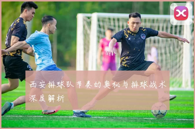 西安排球队节奏的奥秘与排球战术深度解析