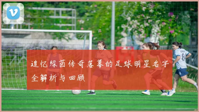 追忆绿茵传奇落幕的足球明星名字全解析与回顾
