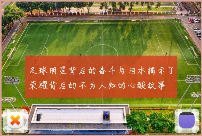 足球明星背后的奋斗与泪水揭示了荣耀背后的不为人知的心酸故事