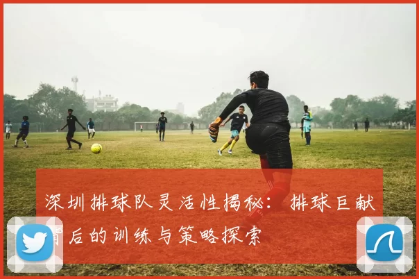 深圳排球队灵活性揭秘：排球巨献背后的训练与策略探索