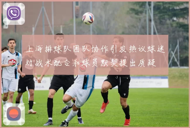 上海排球队团队协作引发热议球迷对战术配合和球员默契提出质疑