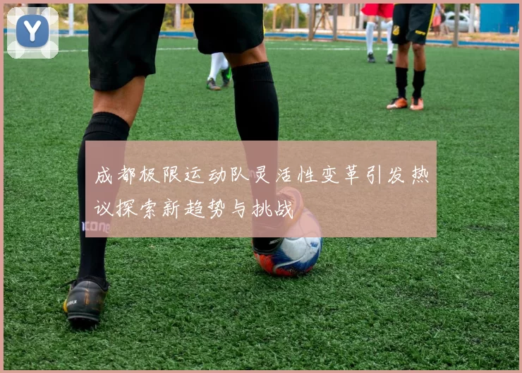 成都极限运动队灵活性变革引发热议探索新趋势与挑战