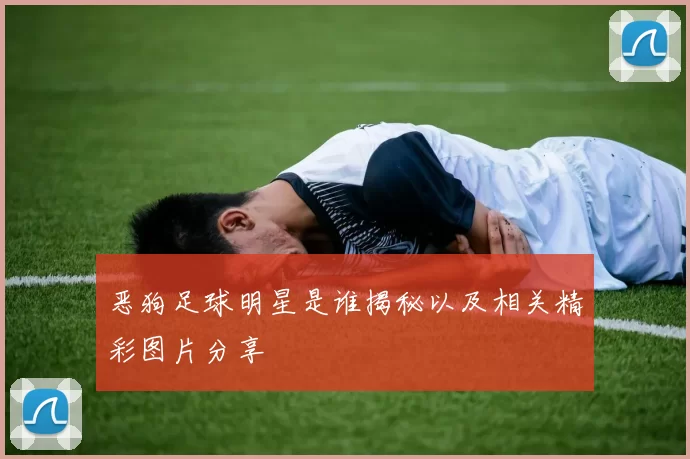 恶狗足球明星是谁揭秘以及相关精彩图片分享