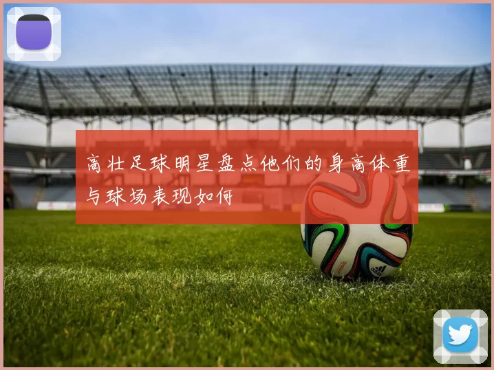高壮足球明星盘点他们的身高体重与球场表现如何