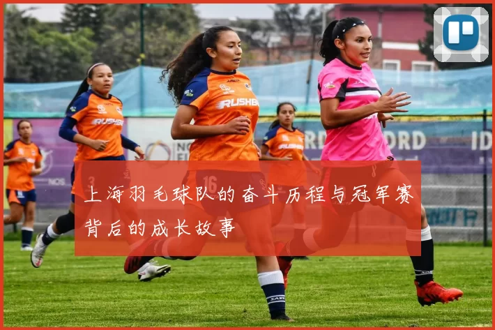 上海羽毛球队的奋斗历程与冠军赛背后的成长故事