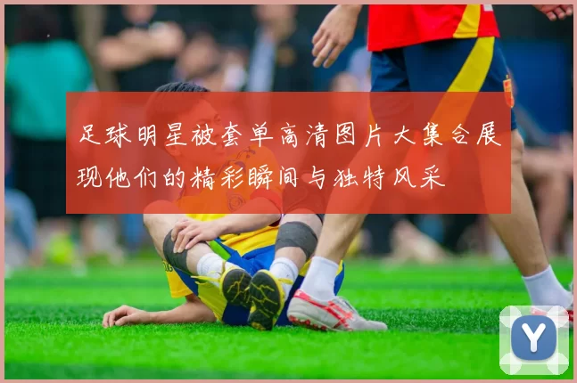 足球明星被套单高清图片大集合展现他们的精彩瞬间与独特风采