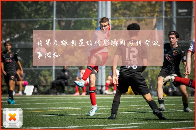 狗界足球明星的精彩瞬间与传奇故事揭秘