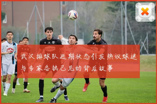 武汉排球队近期状态引发热议球迷与专家各执己见的背后故事