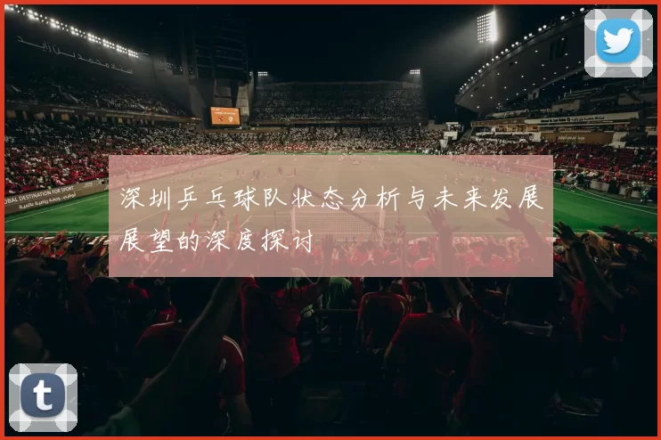 深圳乒乓球队状态分析与未来发展展望的深度探讨