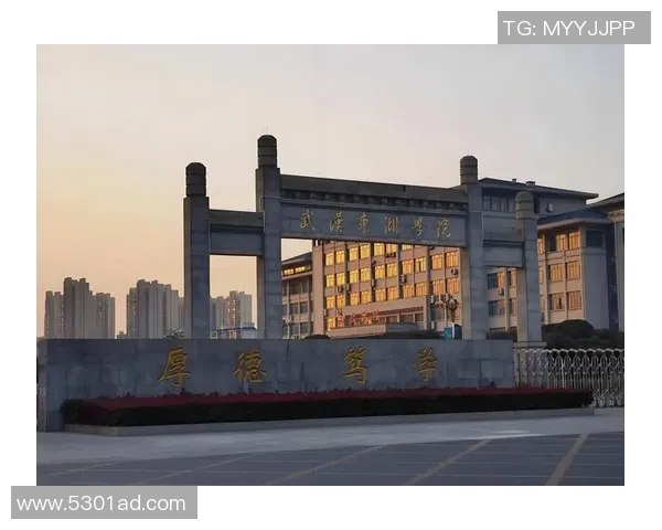 武汉飞盘队的个人能力提升与团队协作的深度探讨