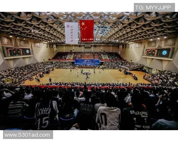 深圳CBA球队主场馆介绍:容量、设施与球迷文化