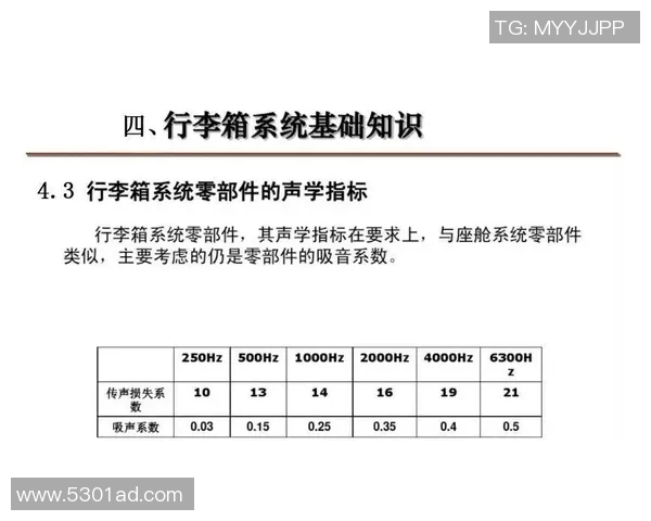 竞技体操C级考试标准解析与备考策略全面指南
